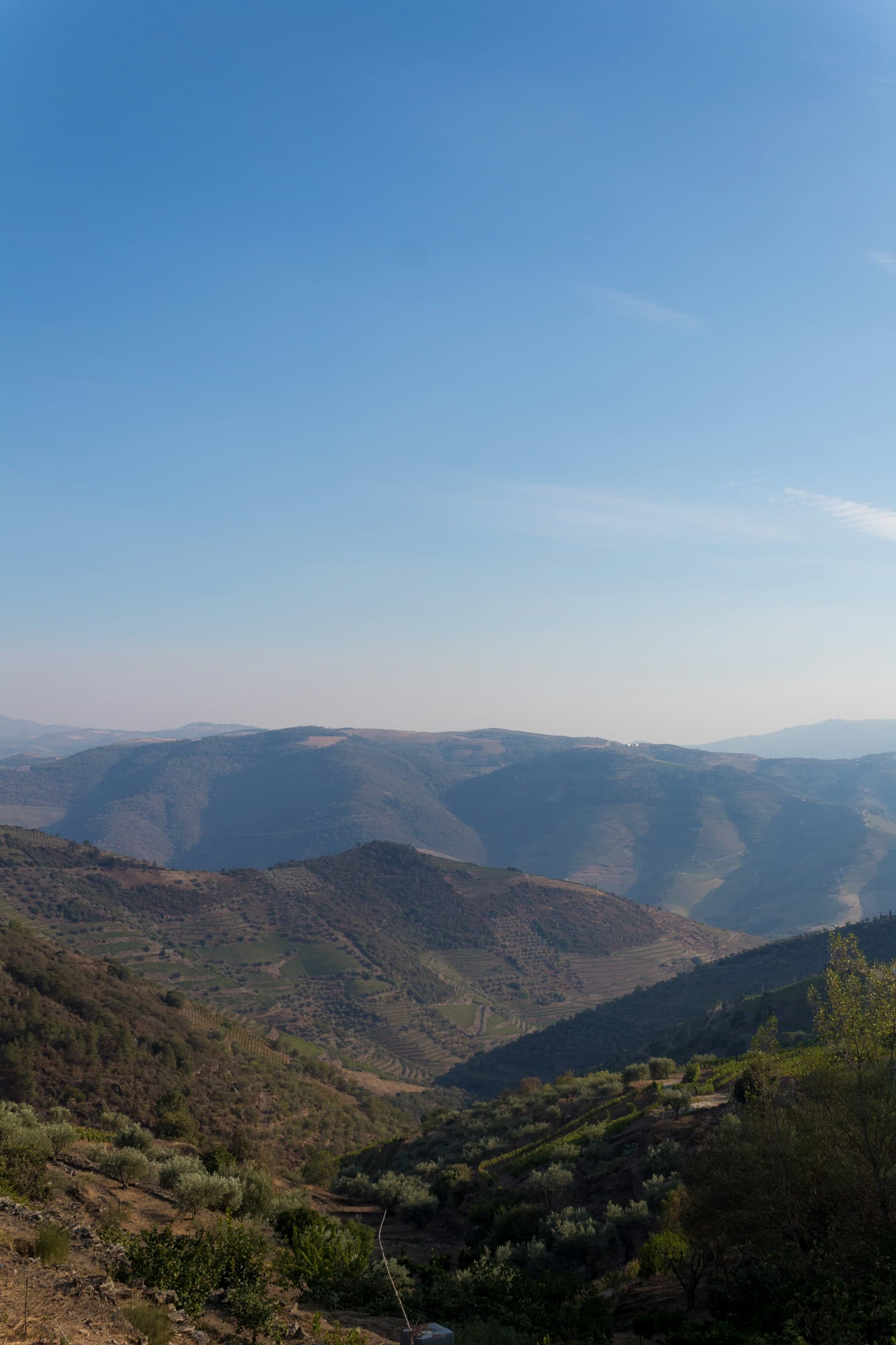 A wide view across the mountainous Douro wine region