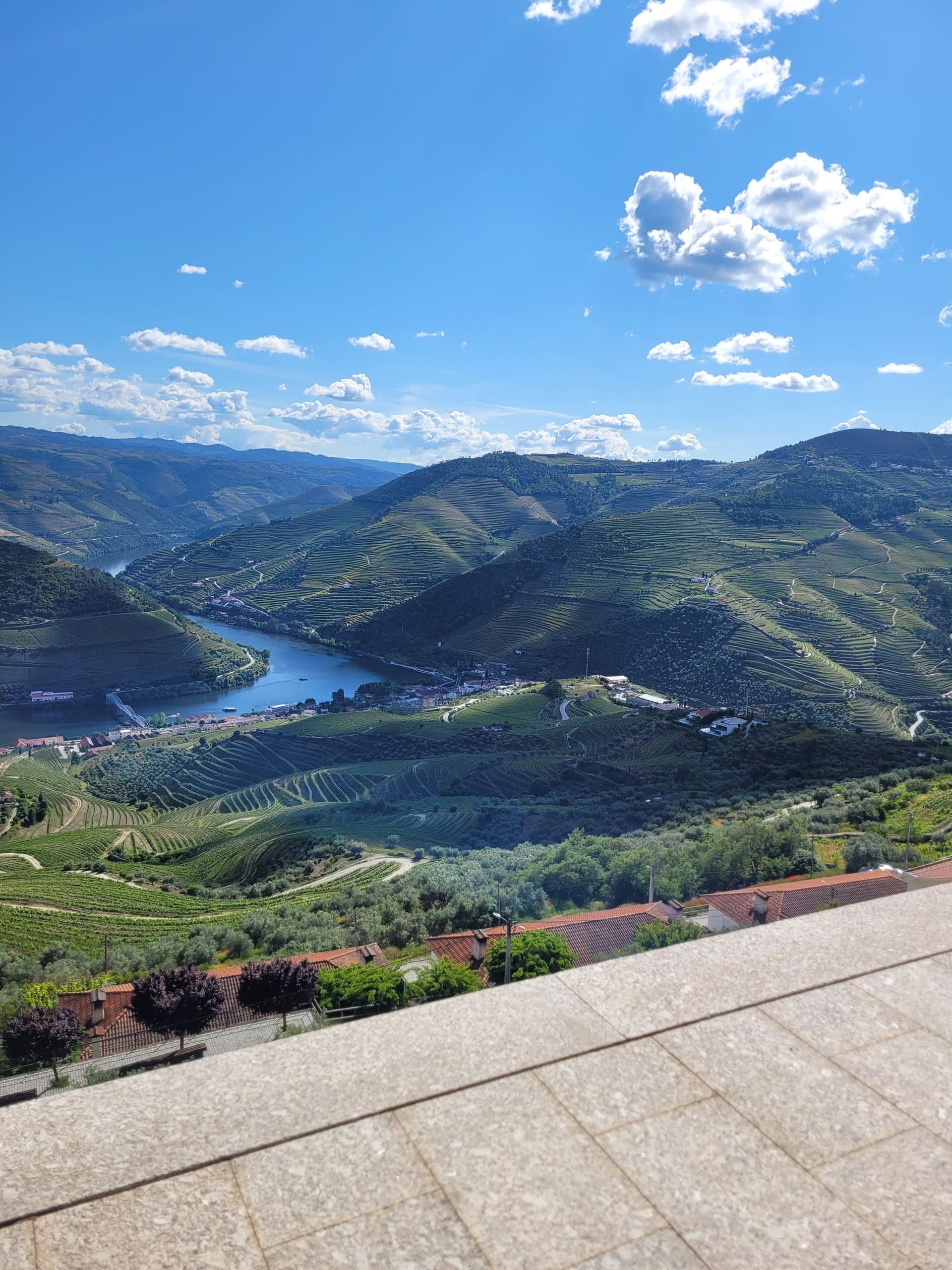 Douro Valley vineyard terraces beside the river