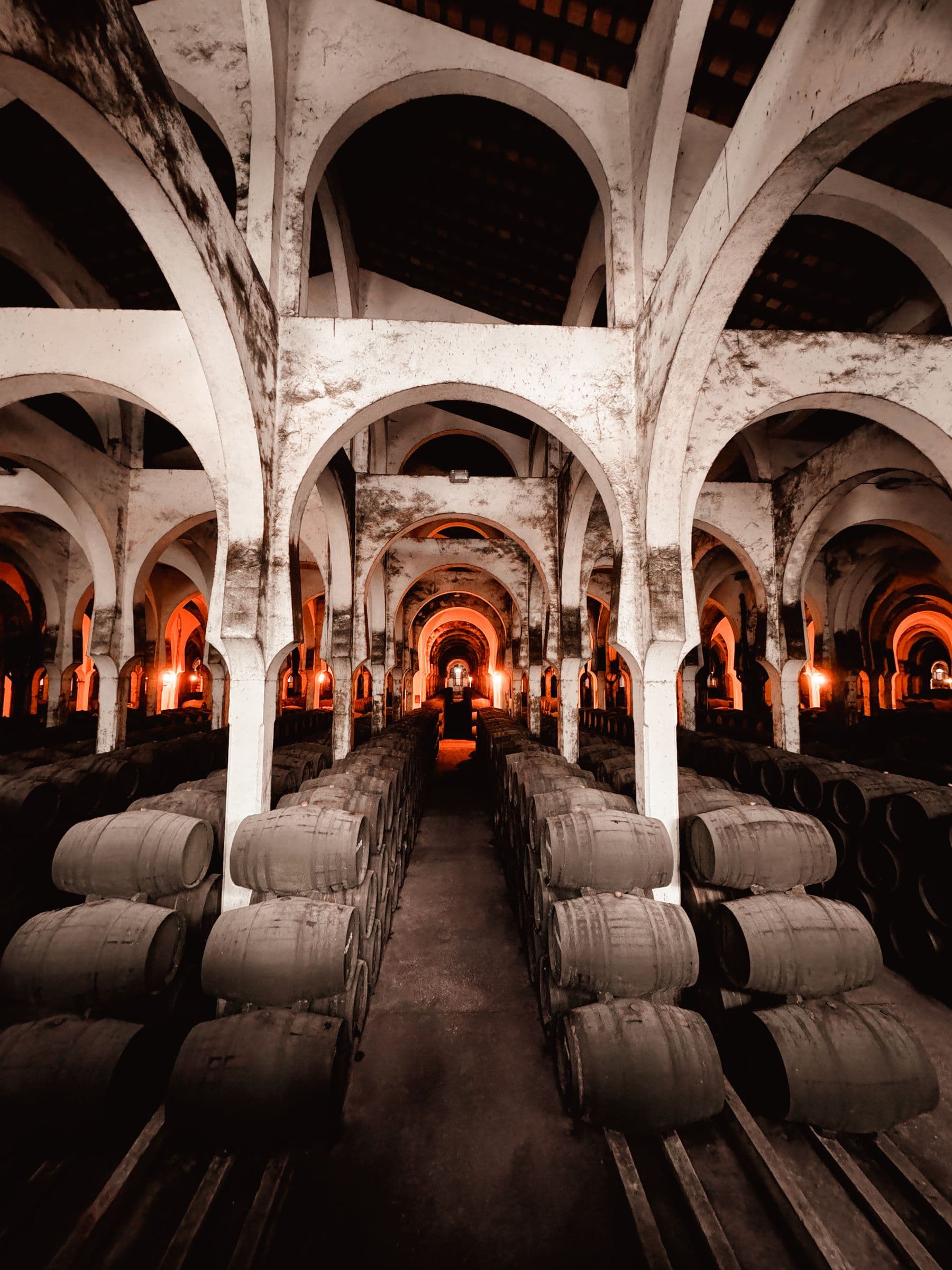 Historic arched wine cellar lined with wooden barrels