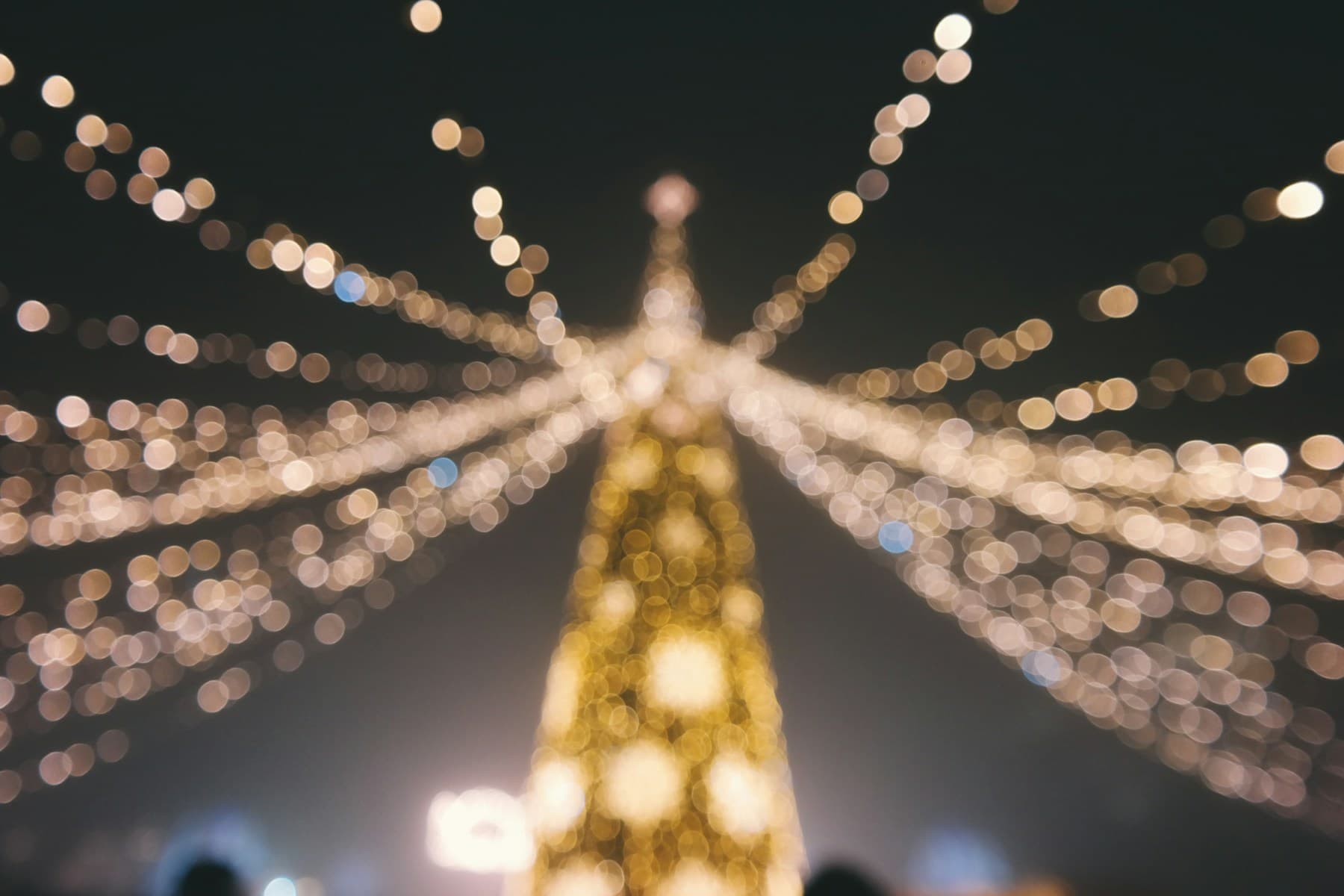 A Christmas tree surrounded by strings of warm lights